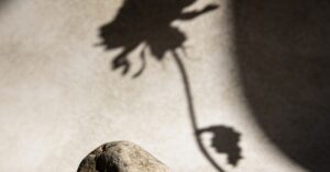 Image of grief: Finding free, compassionate stock photos for your journey