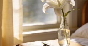 Ethical care: Compassionate principles for your homecare journey
