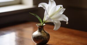 Other words for death: A compassionate list of synonyms and their meaning