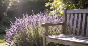 What to say to someone who is dying of cancer: Supporting those facing end of life
