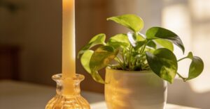 Stage 5 kidney disease life expectancy: Finding clarity and support