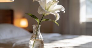 Active dying stages: Understanding physical signs in the last days