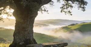 Grief retreat: Healing getaways for those who grieve