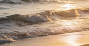 Grief quotes: Finding solace and healing through words of loss