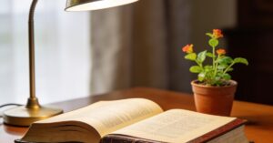 Guardianship reform: Understanding your rights and statutory options
