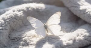 Loss of an infant quotes: Comforting baby loss quotes to bring comfort